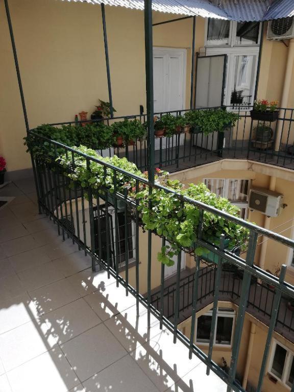 Ferienwohnung Oaza 26 Deo 2 Belgrad Exterior foto