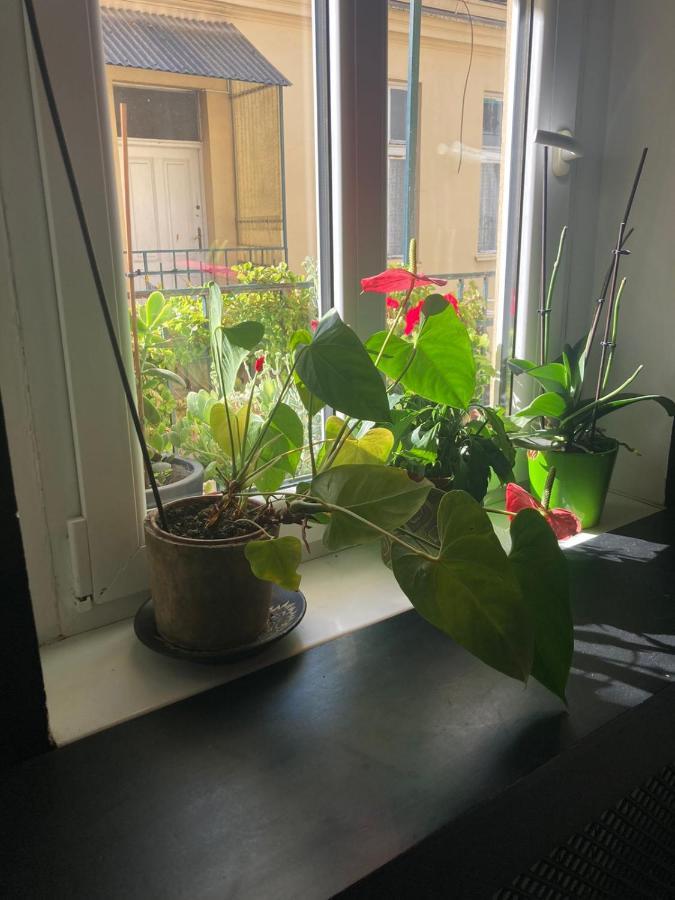 Ferienwohnung Oaza 26 Deo 2 Belgrad Exterior foto
